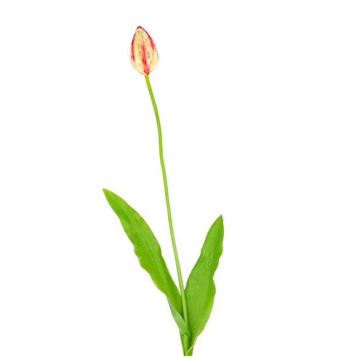 <h4>Artificial flowers Tulipa 66cm</h4>