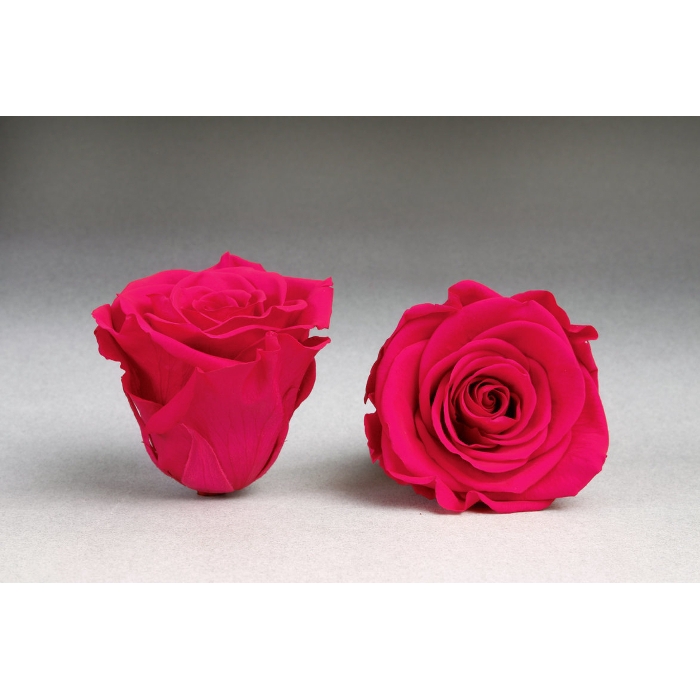 <h4>PRESERVED ROSES XL PIN-03</h4>