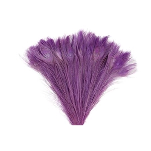 BASIC FEATHER PEACOCK L45-50