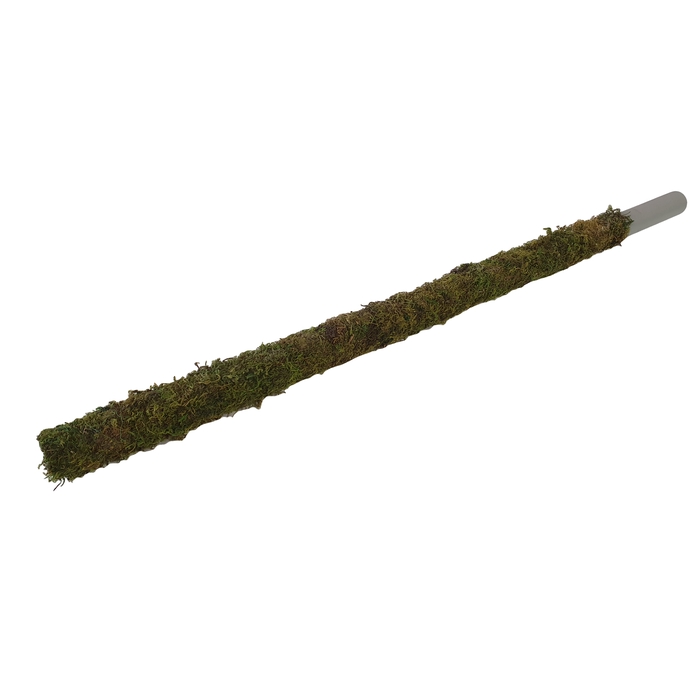 <h4>Tube 30mm with green moss 80cm p.pc Natural</h4>