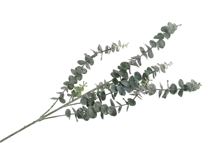 Silk Eucalyptus Tak 88cm Per 1