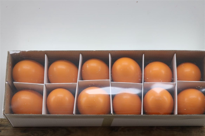<h4>Basic Goose Egg Orange</h4>