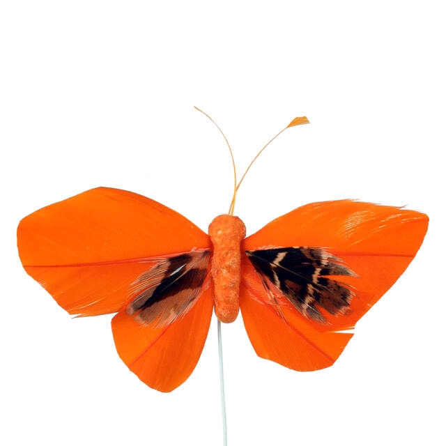 <h4>Pick Butterfly 6x10cm+12cm wire 48pcs orange</h4>