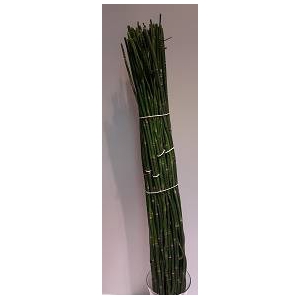 Greens - Snake Bamboo