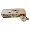 Reindeer moss 500gr in box naturel