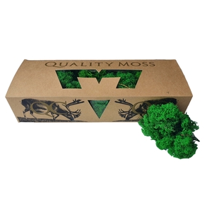 Reindeer moss 500gr in box Green