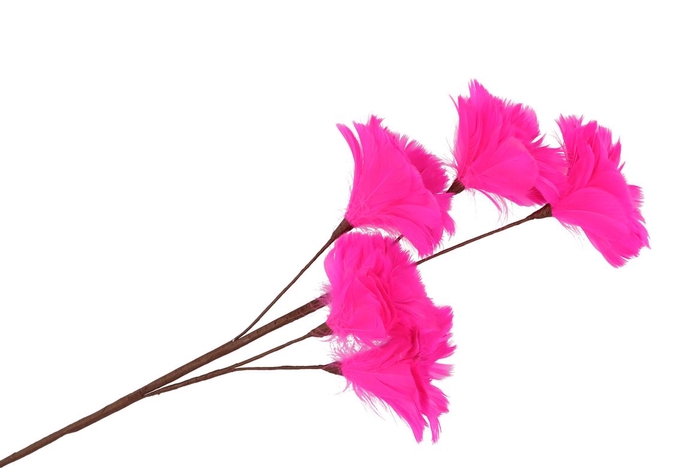 <h4>Silk Feather Flower Fuchsia 5 Op Steel 85cm Nm</h4>