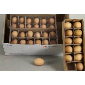 Egg Chicken Brown Box(12pcs)