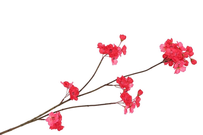 Silk Cherry Blossom Red 85cm