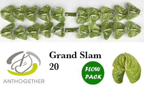 <h4>ANTH A GRAND SLAM 20 Flow Pack</h4>