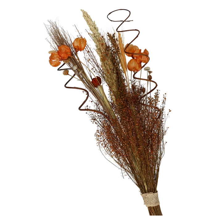 <h4>Dried flowers Bouquet luxe 50cm</h4>