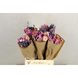 Df Bouquet 50cm Dutch Pink