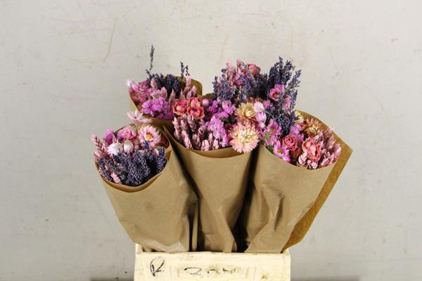 Df Bouquet 50cm Dutch Pink