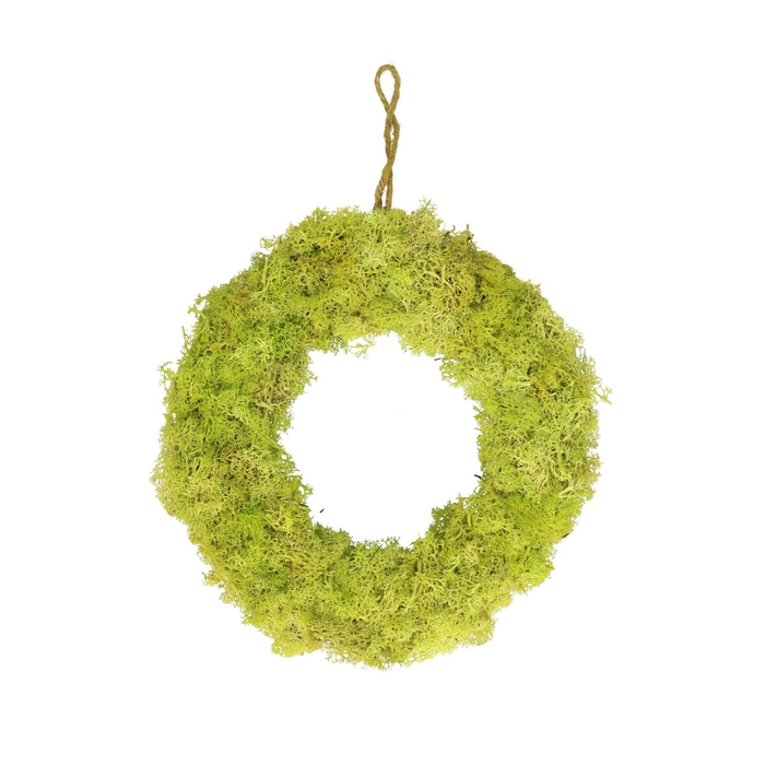 <h4>Wreath d30cm Reindeer moss</h4>