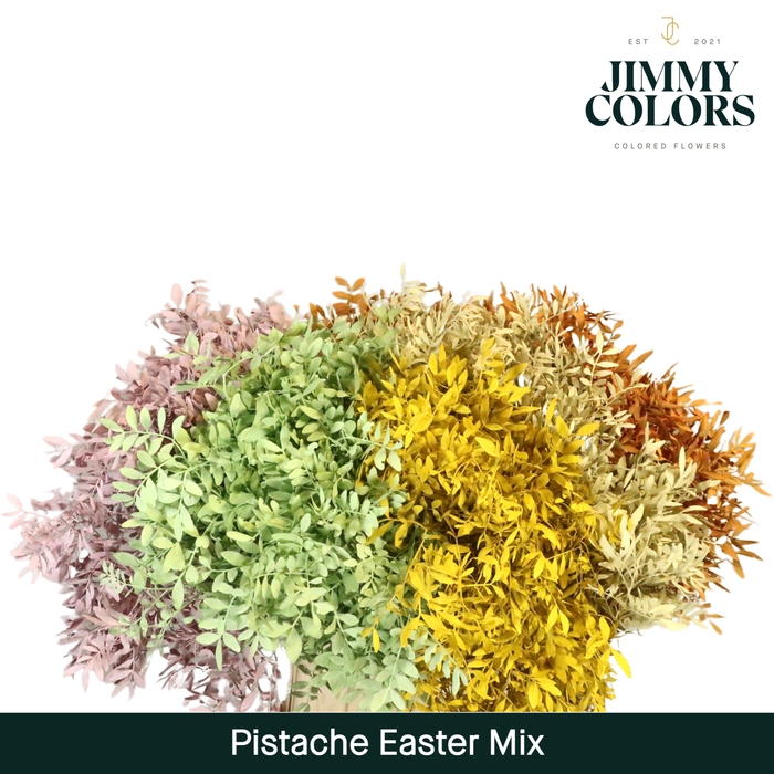 <h4>Pistache L50 Easter mix</h4>