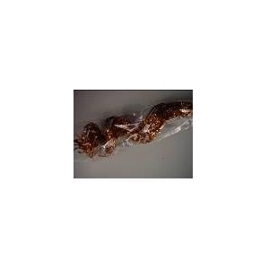 CURLY WILLOW COPPER 60CM 40ST