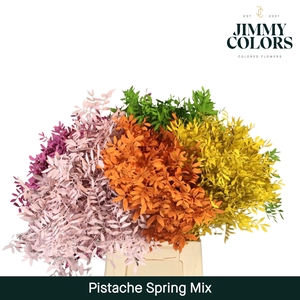 Pistache L50 Spring mix