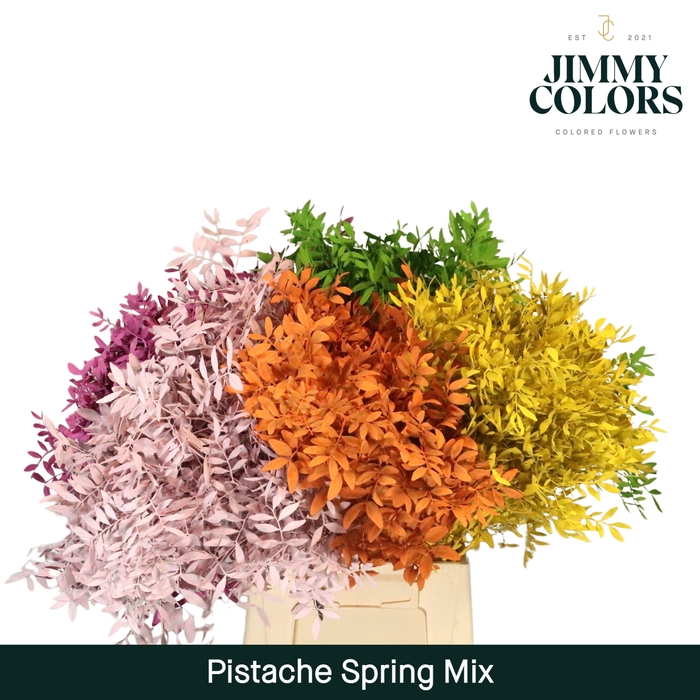<h4>Pistache L50 Spring mix</h4>