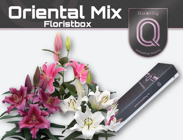 <h4>LI OR MIX IN FUST FLORISTBOX 4+</h4>
