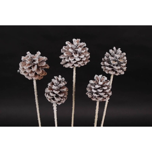 Pine cone 5-7cm on stem natural with snow