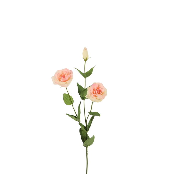 <h4>Lisianthus Real Touch 73cm</h4>