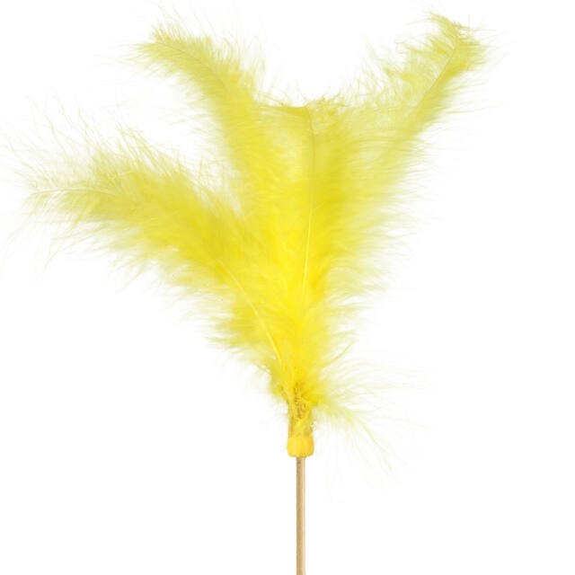 <h4>Pick Feathers 10cm+10cm stick yellow</h4>