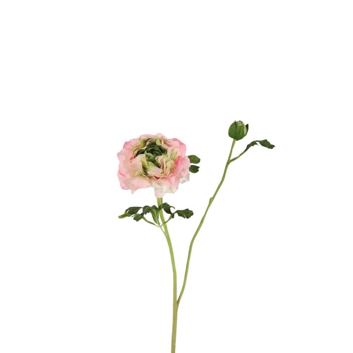<h4>Kunstbloemen Ranunculus 60cm x7</h4>