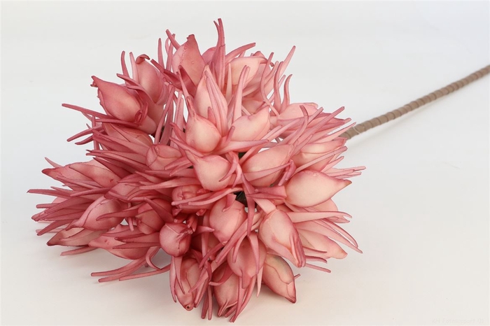 <h4>Artificial Flower Agapantha L78</h4>