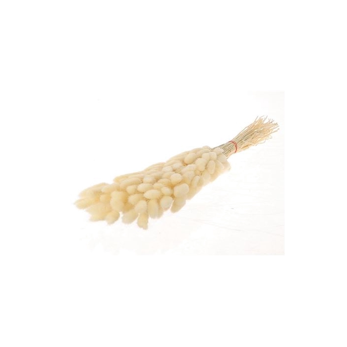 <h4>Bunch Bunny Tail Slv L70</h4>