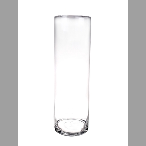 DF01-883463900 - Cylinder vase Myrtle d15xh50 clear
