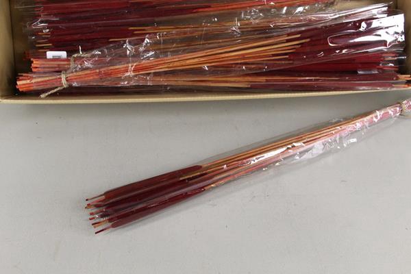 Df Typha L Bs/10 Bordeaux Red