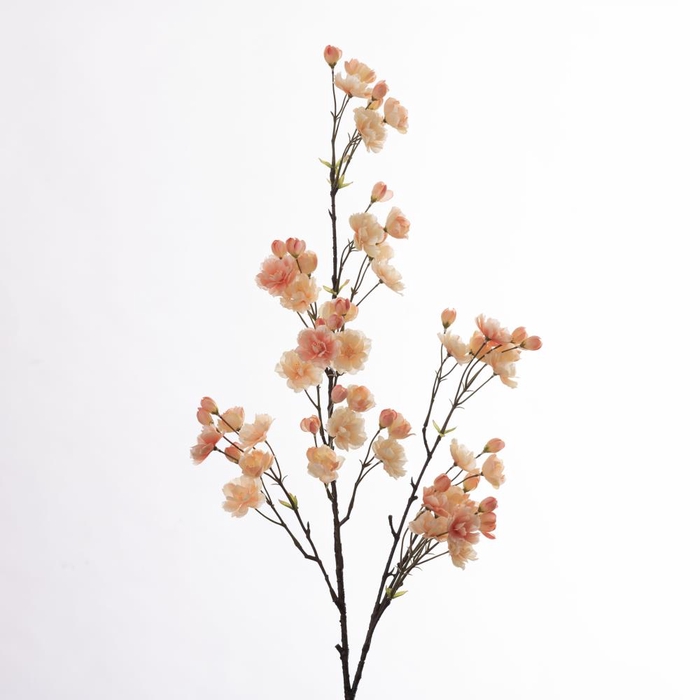 <h4>Af Cherry Blossom L133cm Peach</h4>