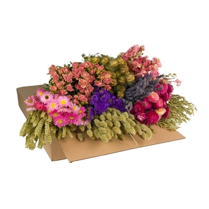 Droogbloemen-Dried Flowers Mix Box-50-60cm-Pink