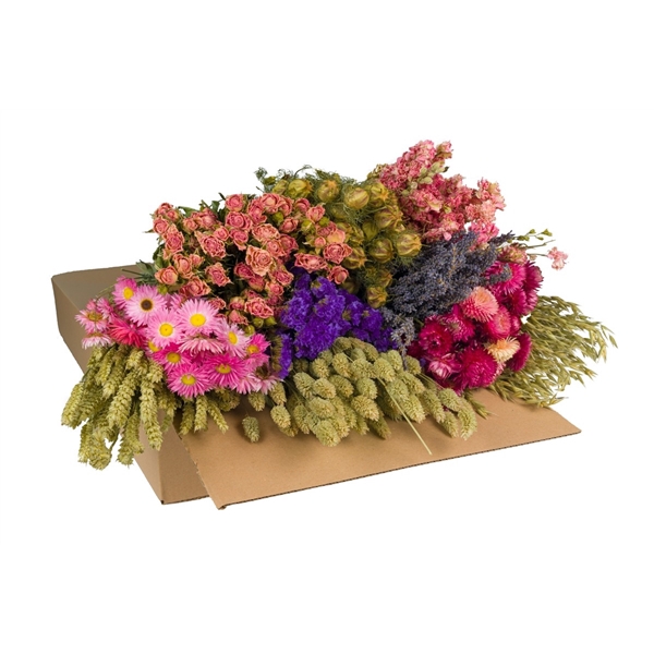 <h4>Droogbloemen-Dried Flowers Mix Box-50-60cm-Pink</h4>