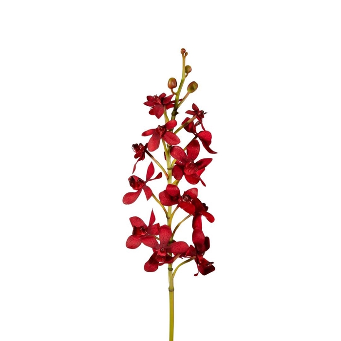 <h4>Kunstbloemen Orchid Vanda 70cm</h4>