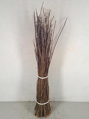 <h4>Willow Bundle  80-100cm</h4>