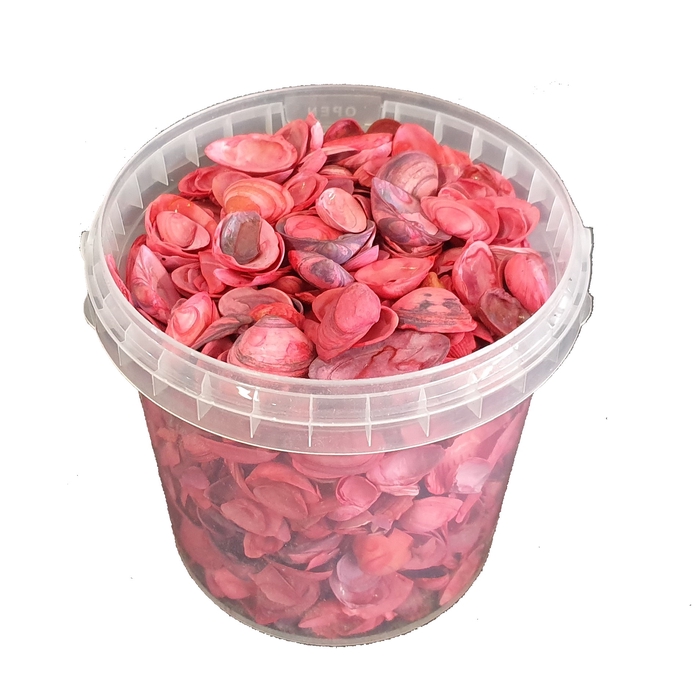 <h4>Shells north sea 1 ltr Red</h4>