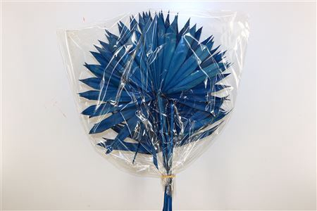 <h4>Dried Palm Sun 6pc Dark Blue Bunch</h4>