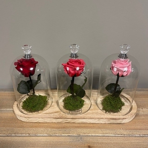 Stolp trio steel rood-fuchsia-roze glas