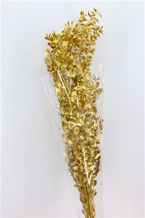 <h4>Dried Ruscus Nat Gold Glitter</h4>