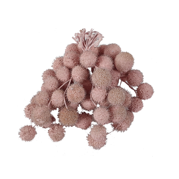 <h4>Small ball per bunch in poly Light Pink</h4>