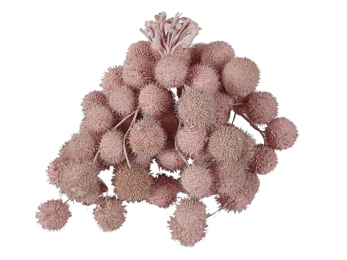 Small ball per bunch in poly Light Pink