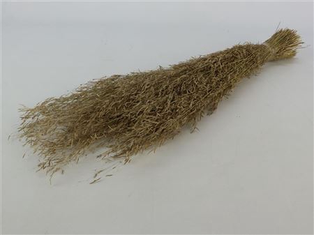 <h4>Dried Munni Grass Natural Bunch Slv</h4>