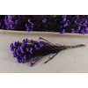 Pf Rice Flowers Purple 100g
