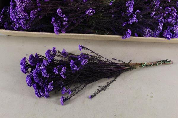 <h4>Pf Rice Flowers Purple 100g</h4>