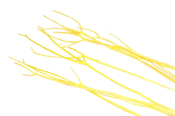 <h4>Mitsumata Flaked Yellow 3pc Bunch</h4>