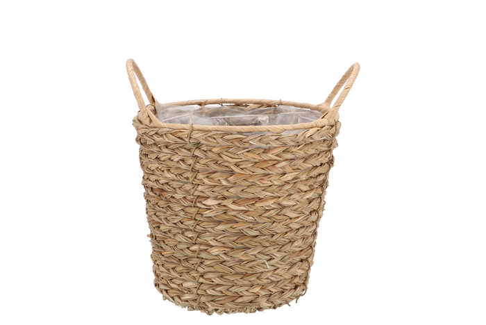 <h4>Seagrass Levi Basket Pot Natural 16x15cm</h4>