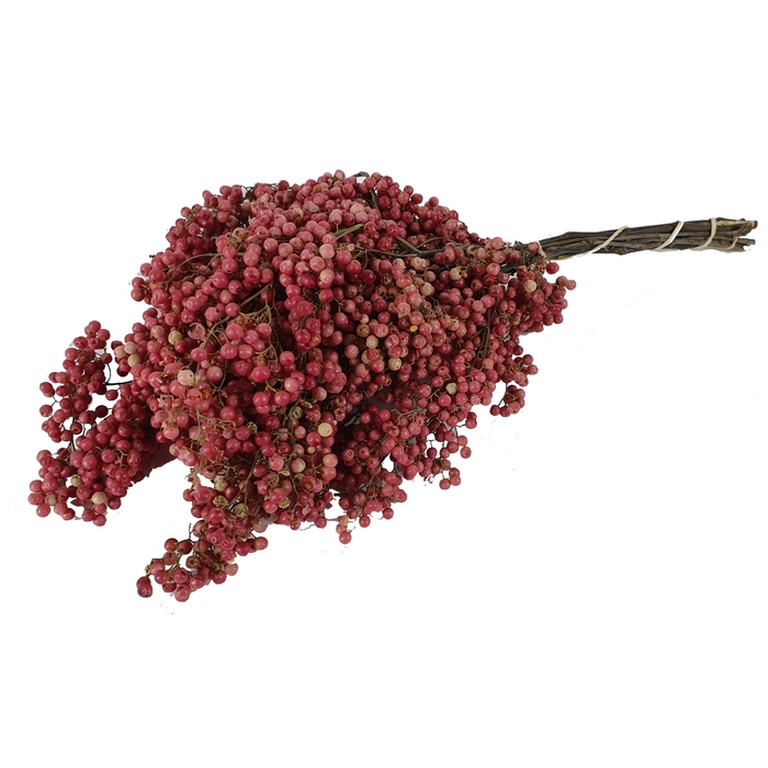 <h4>Pepperberries per bunch in poly Natural</h4>