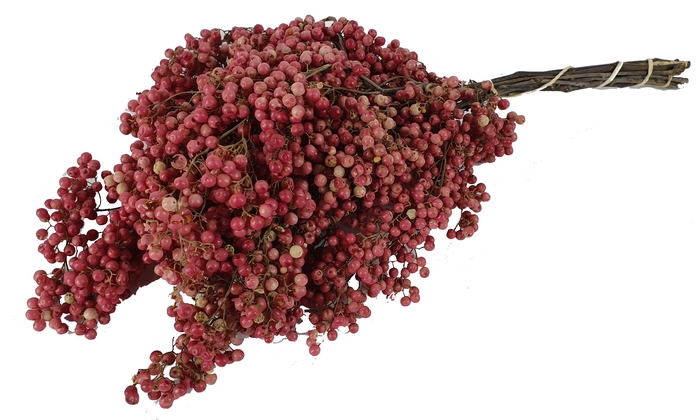 Pepperberries per bunch in poly Natural