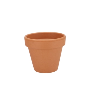 Terracotta Basic Pot 13cm